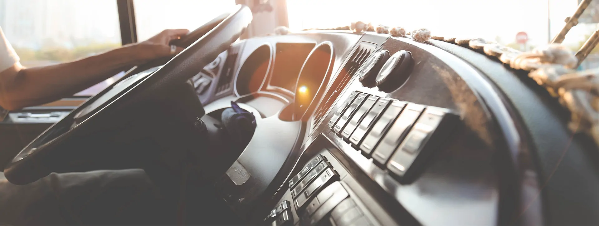 Uzman Ekip, Profesyonel Hizmet